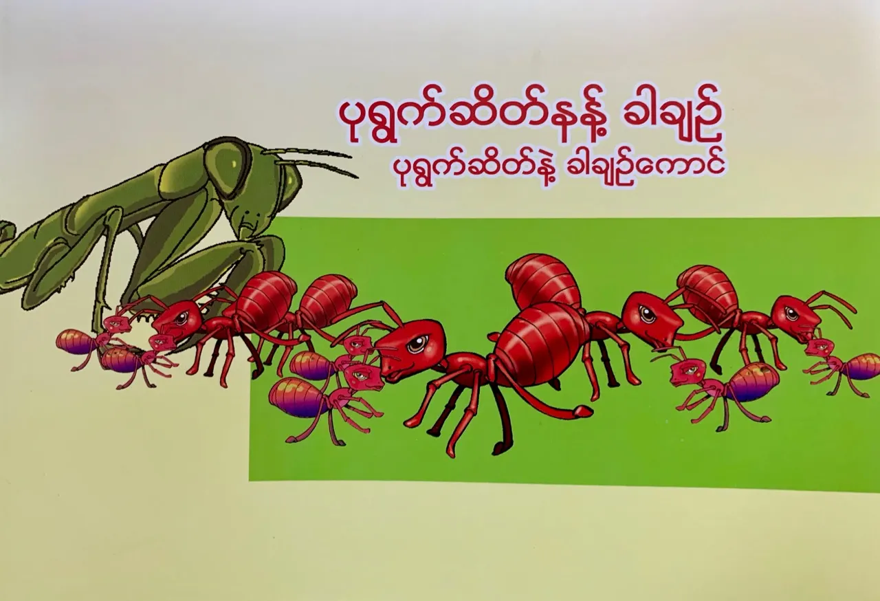 Cover of some of the story books developed by UNICEF, the literature en culture committees, the Ministry of Ethnic Affairs and the Ministry of Education