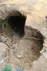 Looting holes in Dawei (Photograph: Banchar Pongpanich)